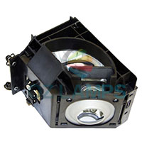 Compatible TV Lamp Module for&nbsp;SAMSUNG&nbsp;SP56L7HRS-XAX