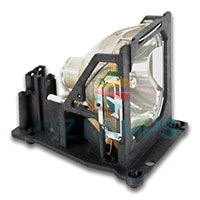 Original Bulb Inside Projector Lamp Module for&nbsp;INFOCUS&nbsp;LP790HB