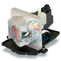 Original Bulb Inside Projector Lamp Module for&nbsp;OPTOMA&nbsp;HD71