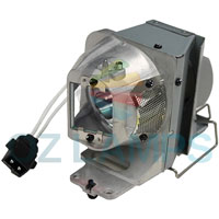 Original Bulb Inside Projector Lamp Module for&nbsp;OPTOMA&nbsp;HDF572